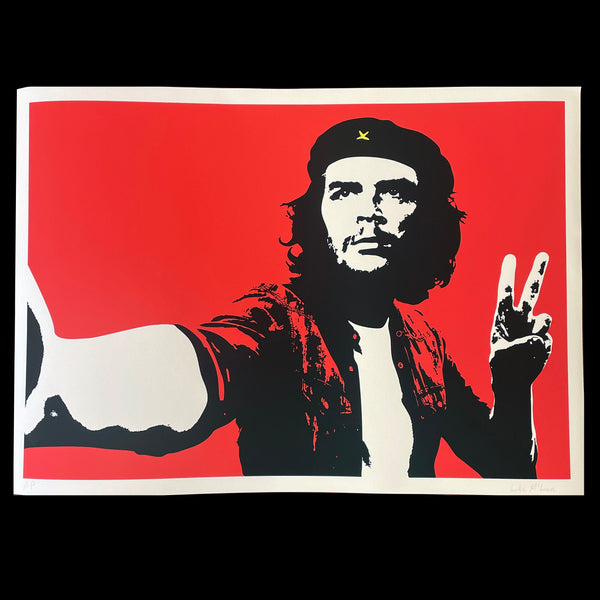 Viva Selfie! (Guerrillero Influenciador)