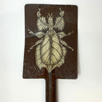 Stick Insect