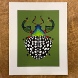 Beetle Mania Series