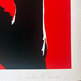 Viva Selfie! (Guerrillero Influenciador)