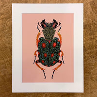 Beetle Mania Series