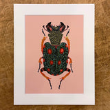 Beetle Mania Series