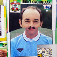 Panini Stickers