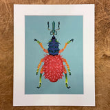 Beetle Mania Series