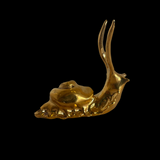 Snails