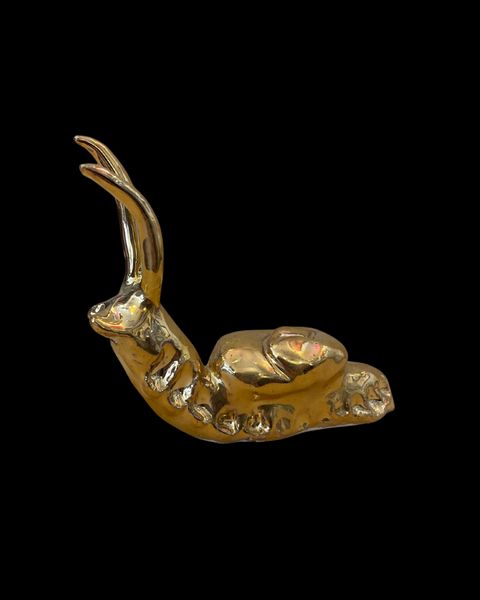 Snails
