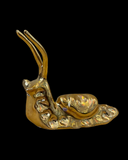 Snails
