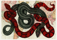 Snakes